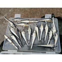 (5kpl) Muikku (kakkoslaatu)