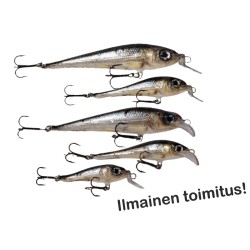 Muikut 5 erilaista
