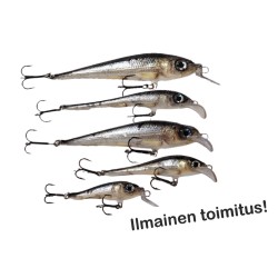 Muikut 5 erilaista